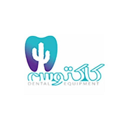 کاکتوس